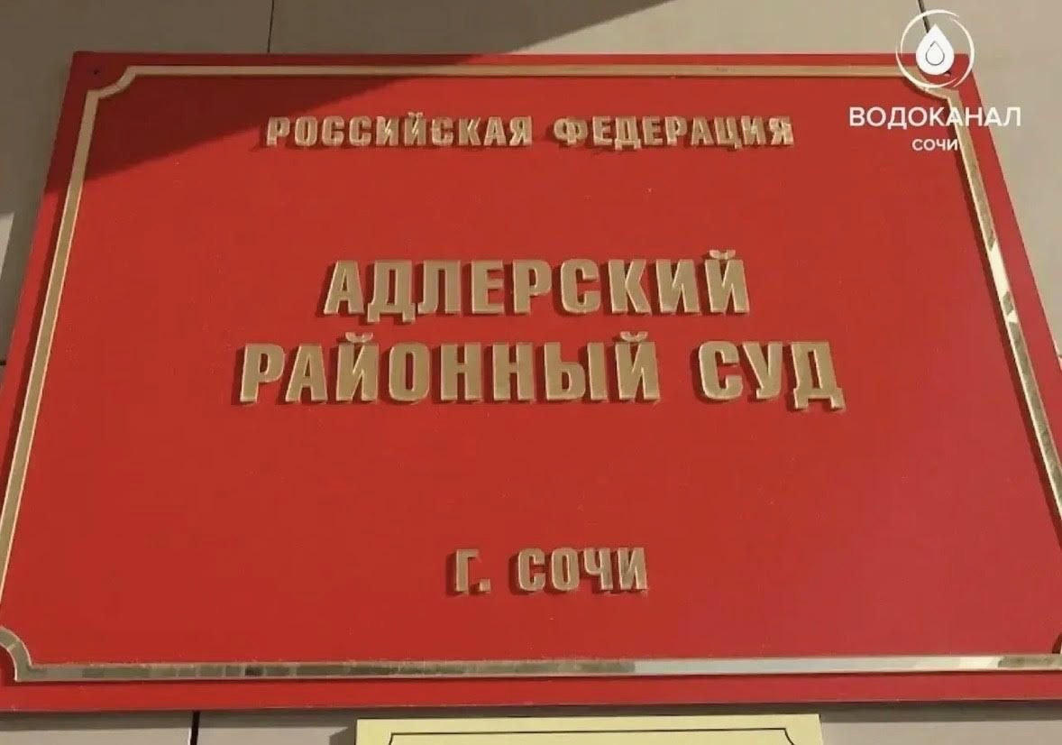 Жительницу Сочи осудили на 15 суток и оштрафовали на 50 тысяч рублей